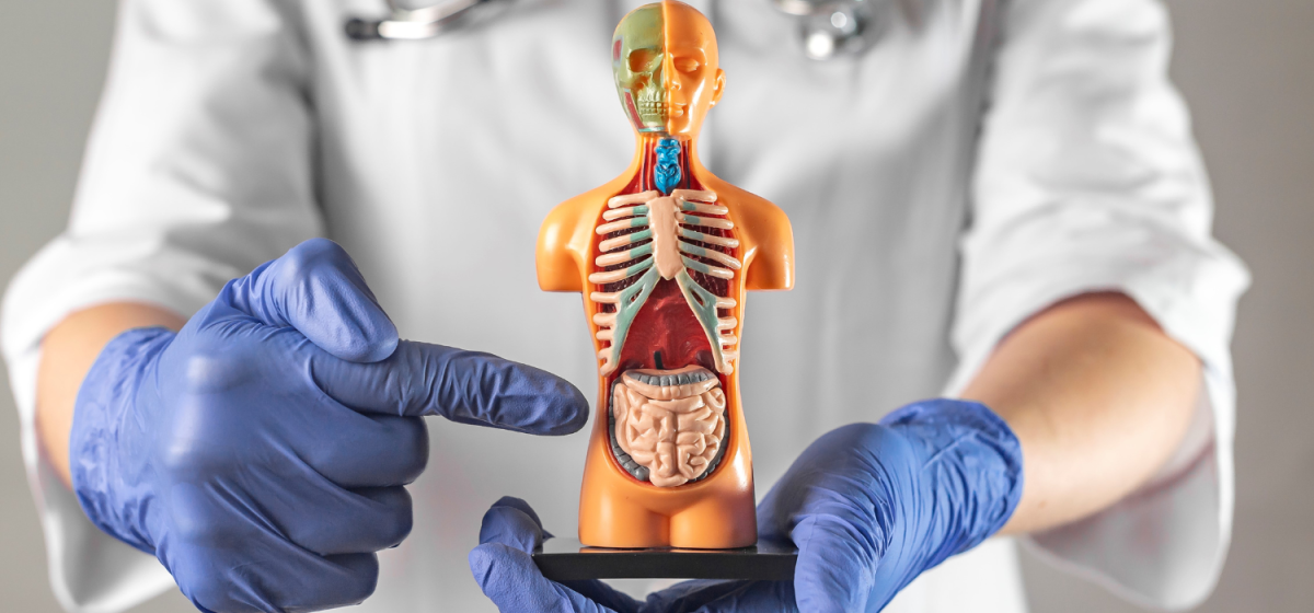 Colonscopia in Sedazione Napoli